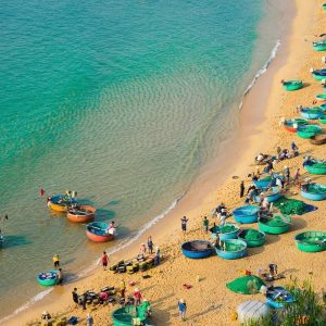 Nha Trang To Quy Nhon Luxury Car Transfer - Vietnam Limousine