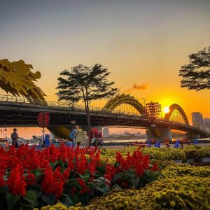Tien Sa Port To Da Nang Private Car - Vietnam Limousine