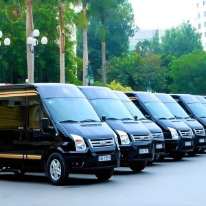 Da Nang To Quy Nhon Limousine – Da Nang Luxury Car - Image 3