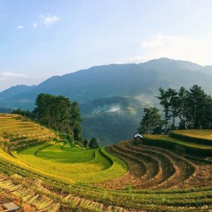 Mu Cang Chai terrace field