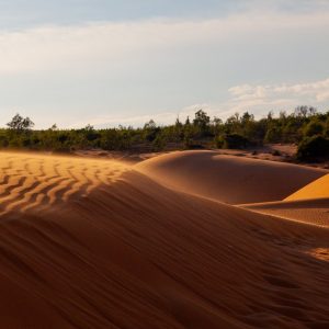 Ho Chi Minh To Phan Thiet Luxury Car - Vietnam Limousine