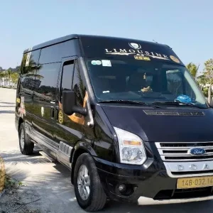 Ho Chi Minh To Quy Nhon Luxury Car - Vietnam Limousine