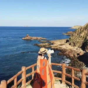 Ho Chi Minh To Quy Nhon Luxury Car - Vietnam Limousine