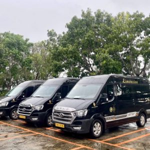 Ho Chi Minh To Mang Den Limousine - Vietnam Limousine