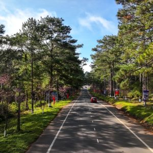 Saigon To Mang Den Luxury Car - Vietnam Limousine