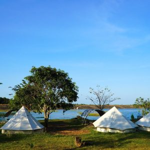 Ho Chi Minh Airport To Dong Nai Limousine - Vietnam Limousine