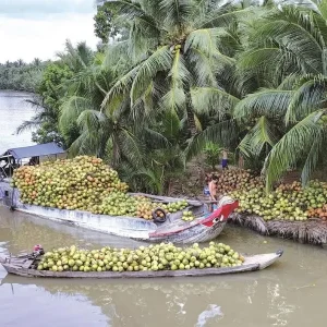 Ho Chi Minh To Ben Tre Luxury Car - Vietnam Limousine
