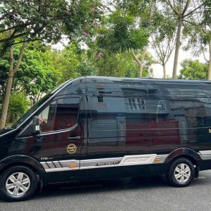 Saigon to Tra Vinh limousine - Vietnam Limousine