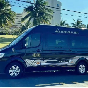 Ho Chi Minh To Cai Be Luxury Car - Vietnam Limousine