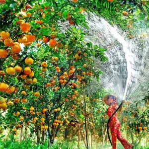 Ho Chi Minh To Vinh Long Luxury Car - Vietnam Limousine