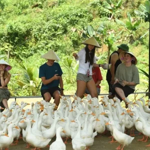 Dong Hoi To Duck Stop Phong Nha By Luxury Car - Vietnam Limousine