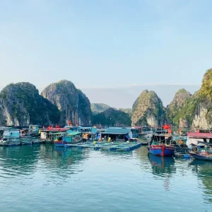 Ninh Binh To Cat Ba Island Luxury Car - Vietnam Limousine