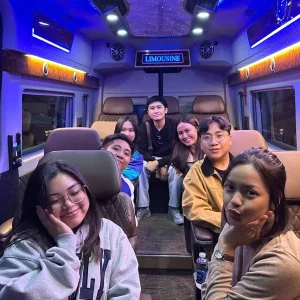 Ninh Binh To Halong Bay Limousine - Vietnam Limousine