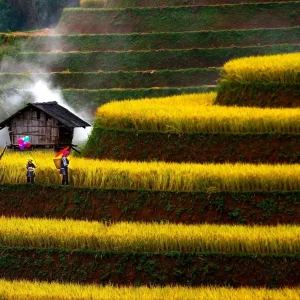 Ninh Binh To Mu Cang Chai Limousine - Vietnam Limousine