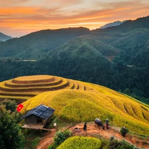 Ninh Binh To Mu Cang Chai By Limousine - Vietnam Limousine