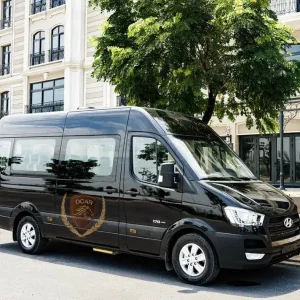 Da Nang To Monkey Mountain Luxury Car - Vietnam Limousine