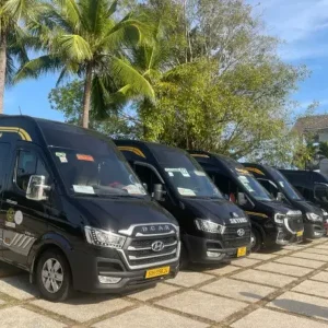 Da Nang To Monkey Mountain Luxury Car - Vietnam Limousine