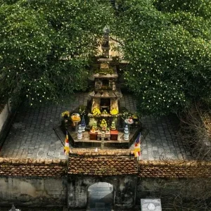 Ninh Binh To Yen Tu By Limousine Car - Vietnam Limousine