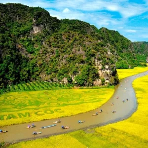 Ninh Binh to Phong Nha limousine - Vietnam Limousine